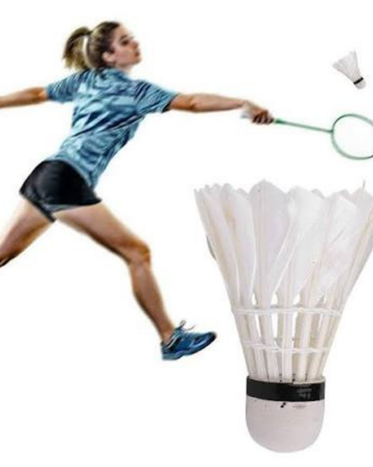 Badminton Seti